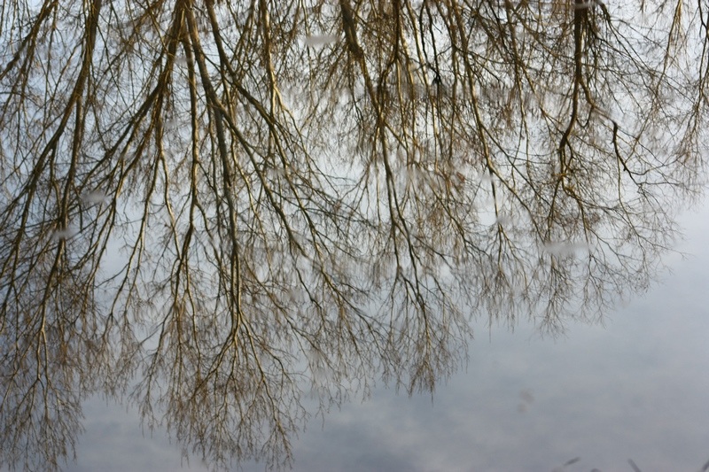 Un mondo riflesso...